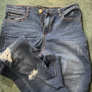 Prosperity Distressed Denim Skinny Jean